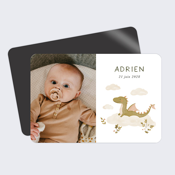 Faire part naissance Dragon