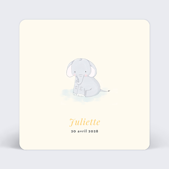 Faire part naissance Baby Elephant Recto