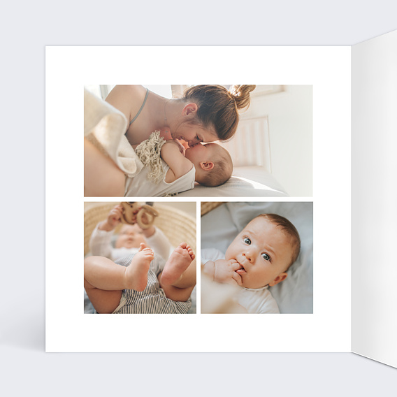 Faire part naissance Jardin Printannier Intérieur Gauche