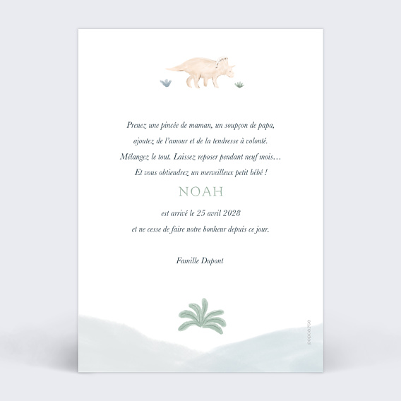 Faire part naissance Grand Dino Verso