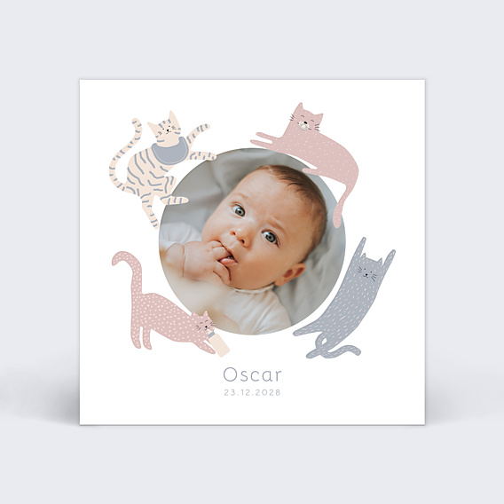 Faire-part Naissance Couronne de Chats