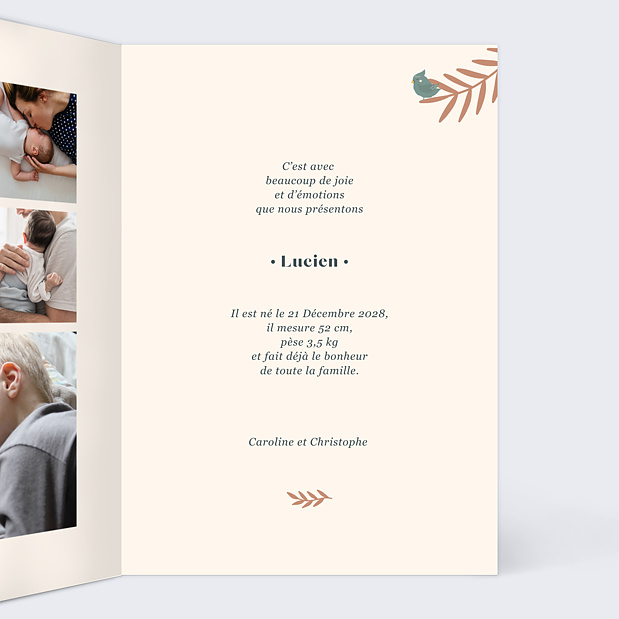 Faire-part Naissance Mésange Prénom Intérieur Droit