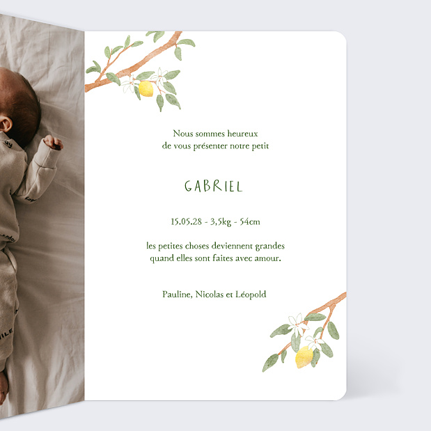 Faire-part Naissance Petits Vêtements Intérieur Droit
