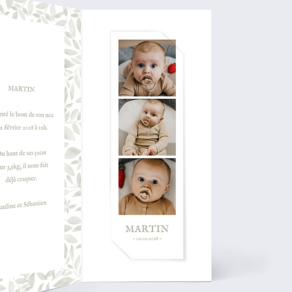 Faire-part Naissance Jolis brins