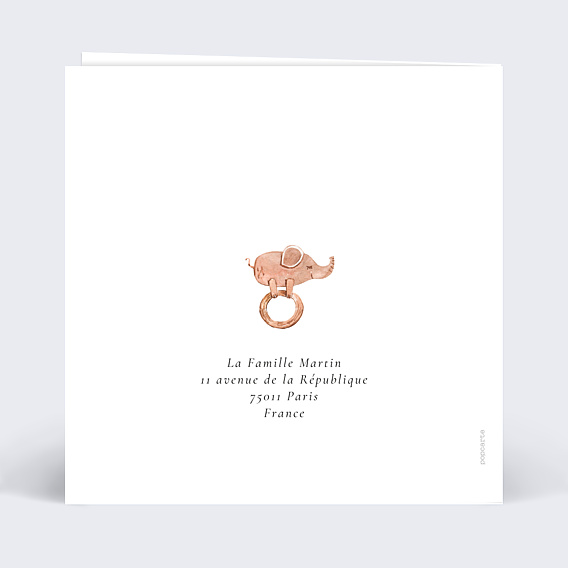 Faire-part Naissance Lapinou