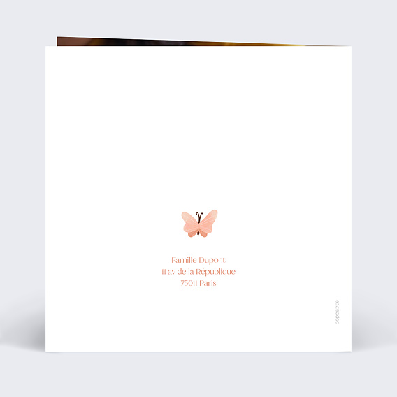 Faire part naissance Papillon Rose Verso