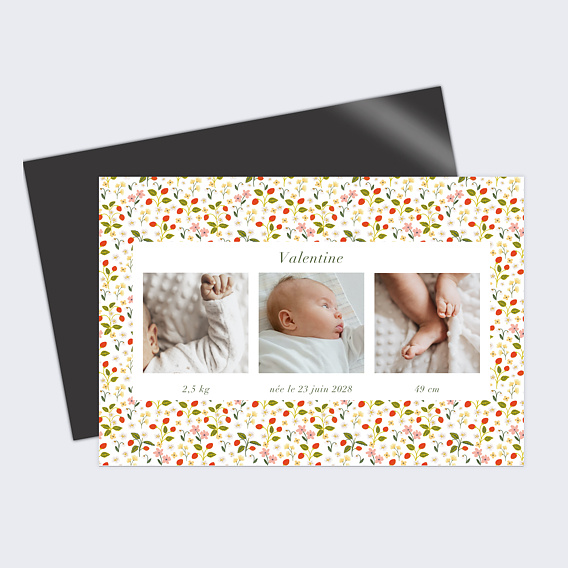 Faire part naissance Liberty Été