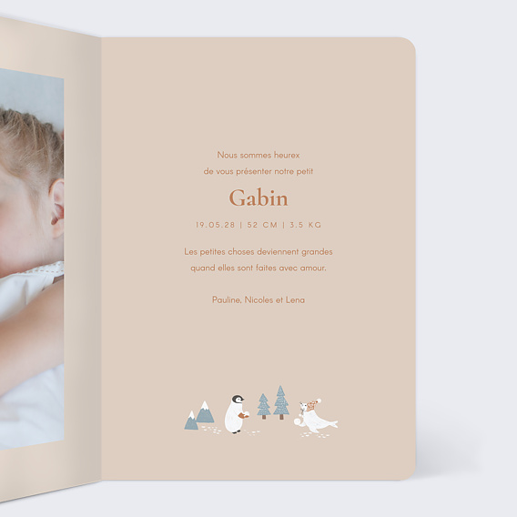 Faire part naissance Motif hivernal Intérieur Droit