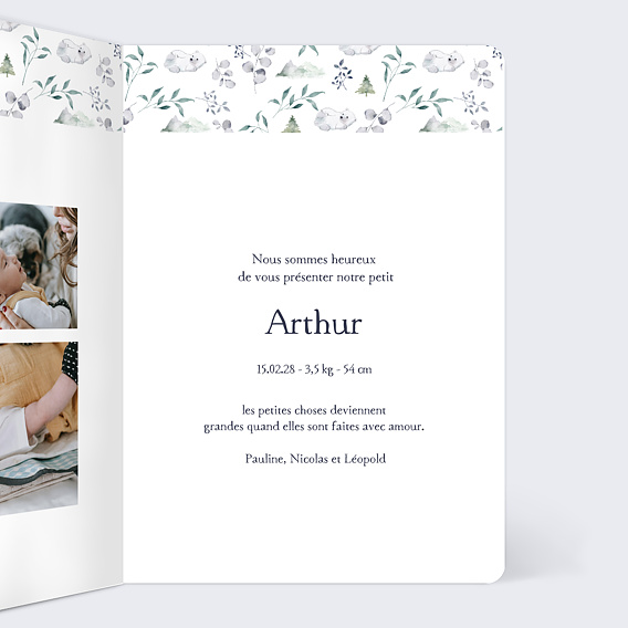 Faire part naissance Ourson Polaire Intérieur Droit