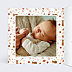 Faire-part Naissance Pattern Renardeau