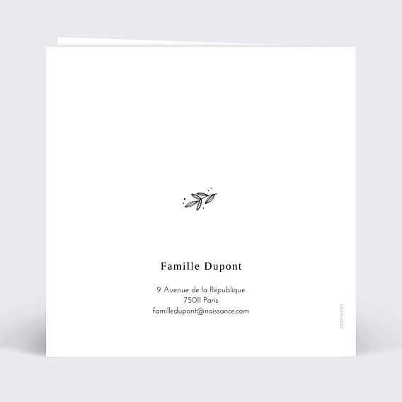 Faire part naissance Tampon Délicatesse Verso