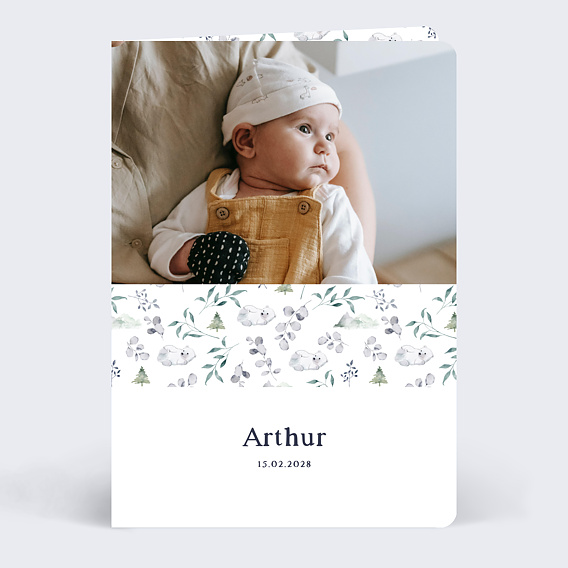 Faire part naissance Ourson Polaire