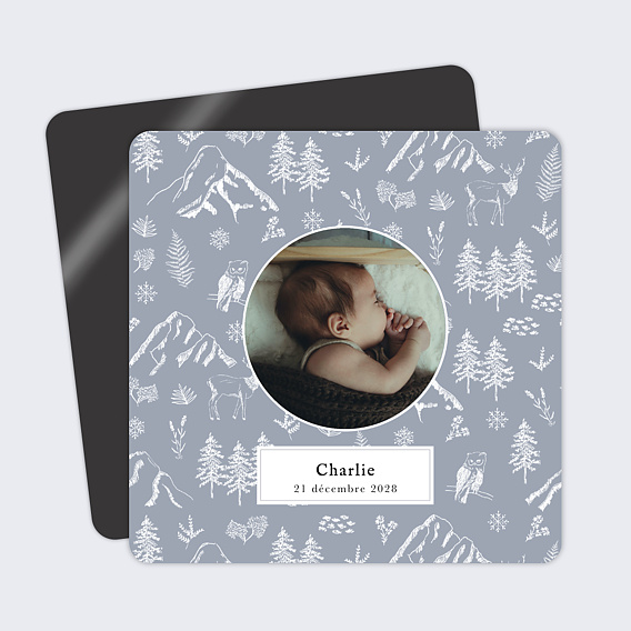 Faire part naissance Pattern Hiver