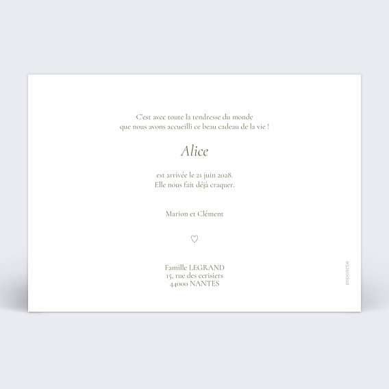 Faire part naissance Multiphoto Élégant paysage Verso