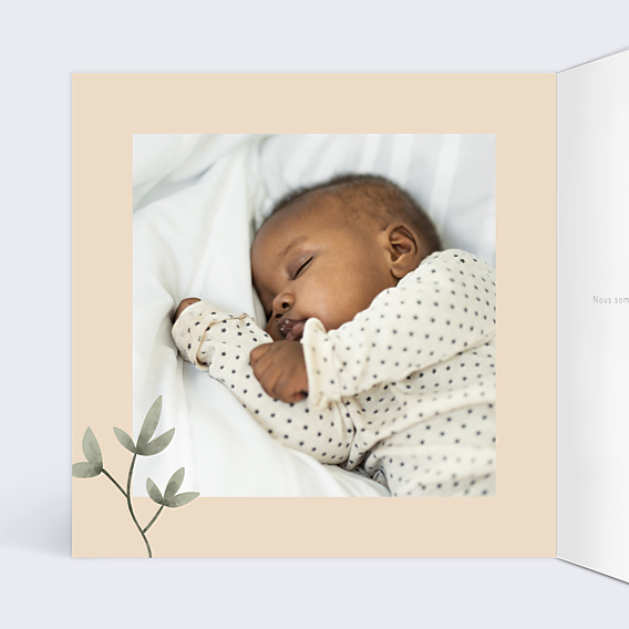 Faire-part Naissance Petite Prairie