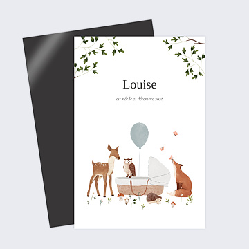 Faire part Naissance Fort Enchante