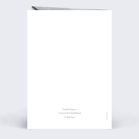 Faire part naissance Peluche Lapin Verso