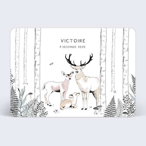 Faire-part Naissance Animaux de la Forêt