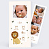 Faire-part Naissance Lion picto