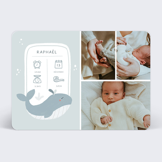 Faire part naissance Baleine certificat Recto