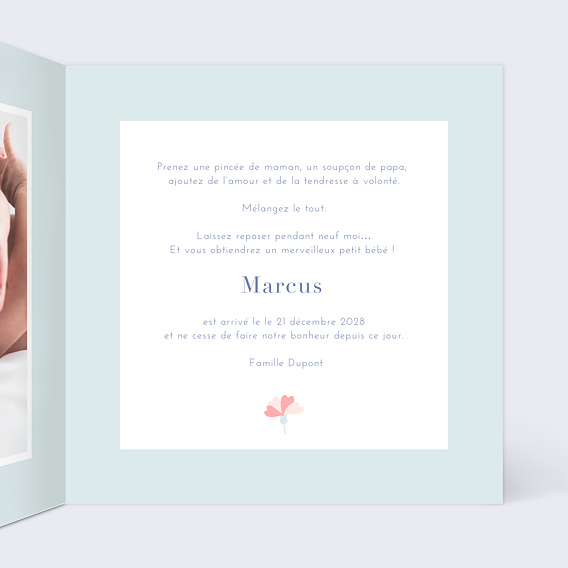 Faire part naissance Oisillons Intérieur Droit