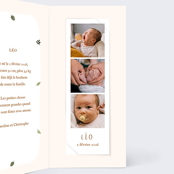 Faire-part Naissance Lion picto