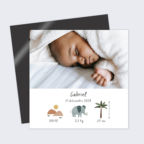 Faire part naissance Pictos savane Recto