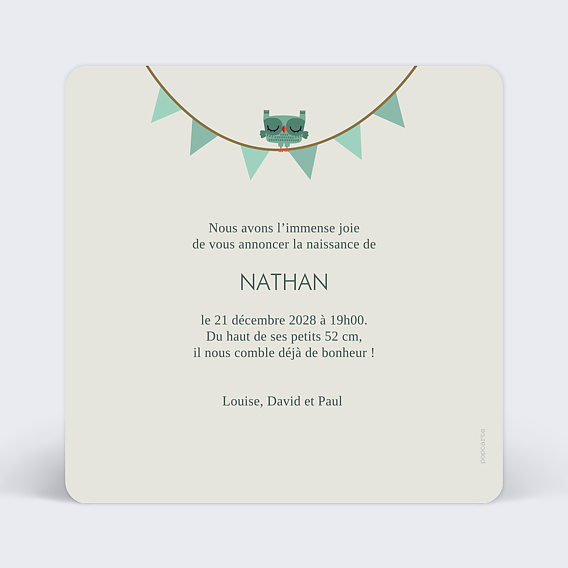 Faire part naissance Lilliputiens x Popcarte - Joe le dragon Verso