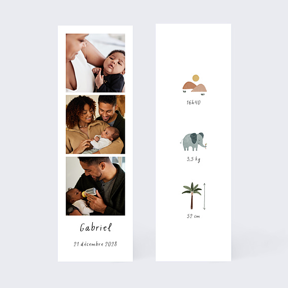 Faire-part Naissance Pictos savane