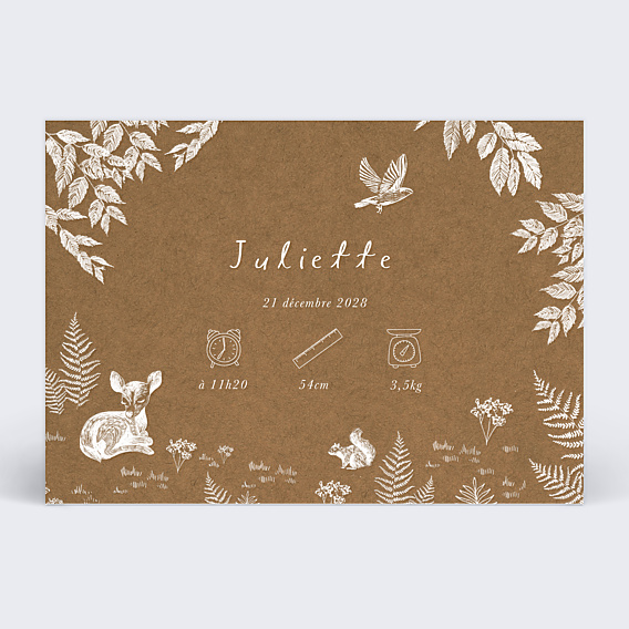 Faire-part Naissance Crayon Blanc Kraft
