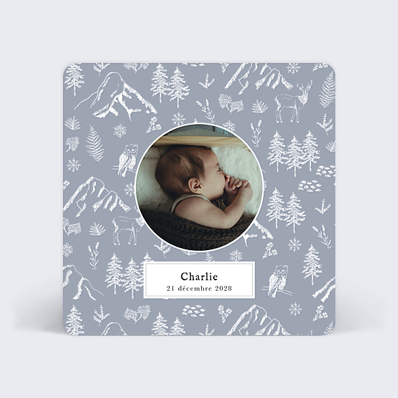 Faire part naissance Pattern Hiver