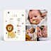 Faire-part Naissance Lion picto