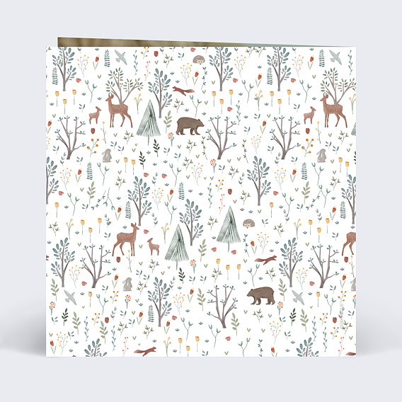 Faire part naissance Printemps Etiquette Verso