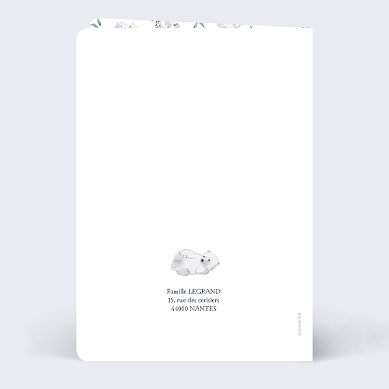 Faire part naissance Ourson Polaire Verso