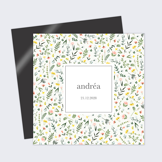 Faire part naissance Été