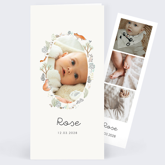 Faire part naissance Couronne renard