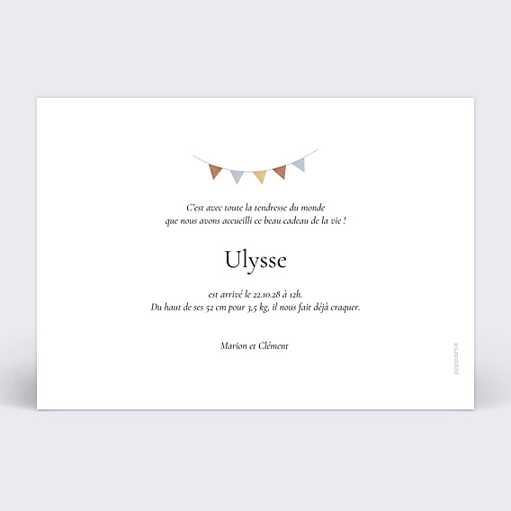 Faire-part Naissance Cigogne Chambre