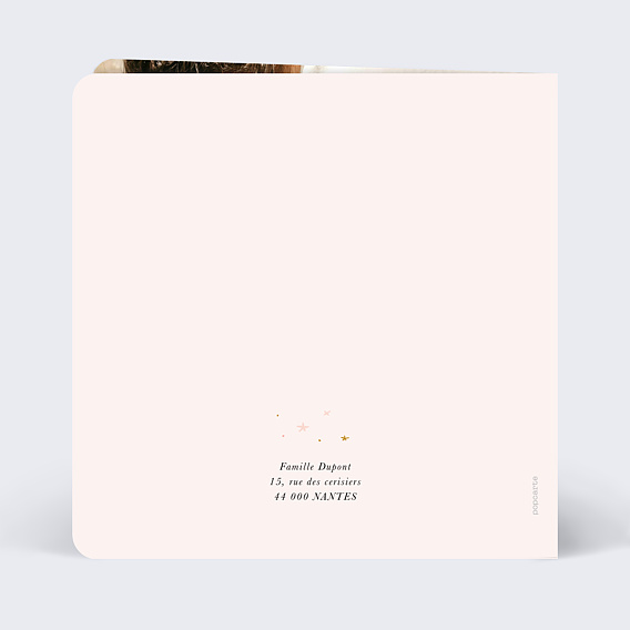 Faire part naissance Princesse Carrosse Verso