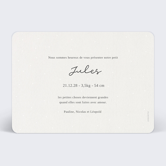 Faire part naissance Petit Lapin Gris  Verso