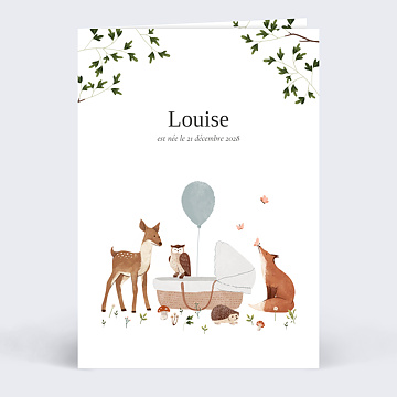 Faire-part Naissance Fort Enchante