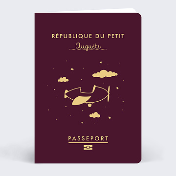 Faire part Naissance Passeport