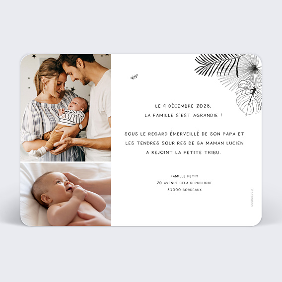 Faire part naissance Animaux Sauvages Verso