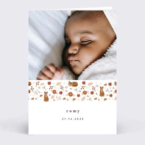 Faire part naissance Frise Renard Recto