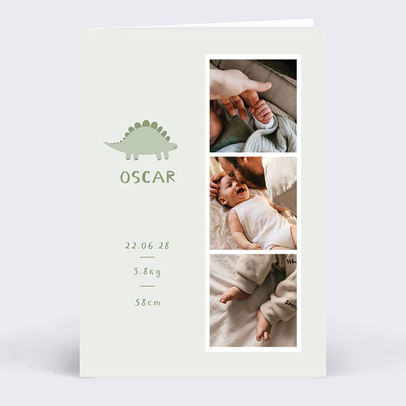 Faire part naissance Petit Dinosaure Recto