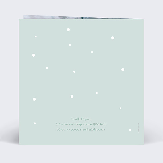 Faire part naissance Chat Verso