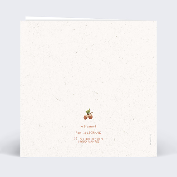 Faire part naissance Jumeaux forêt Verso