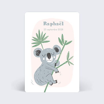 Faire-part Naissance Koala original