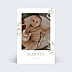 Faire-part Naissance Jolis brins