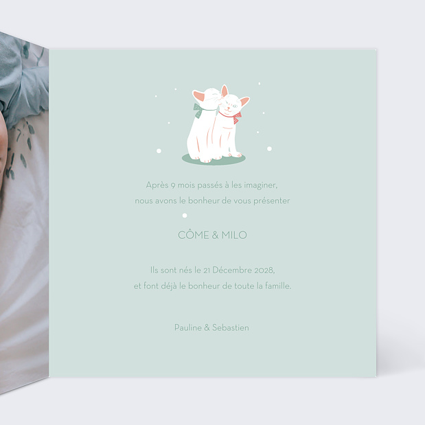 Faire-part Naissance Chats Intérieur Droit