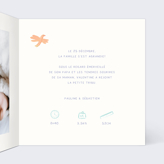 Faire-part Naissance Jolie Nature